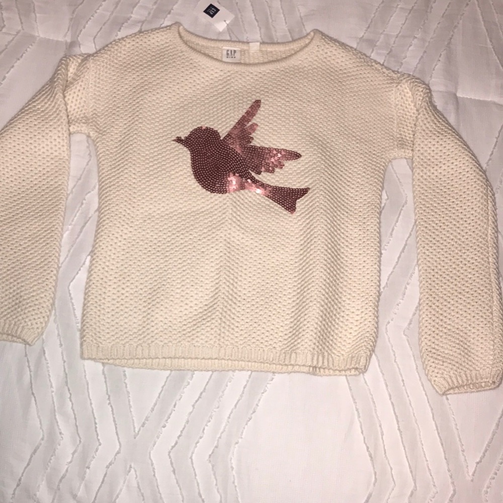 Sweater from Kids Gap